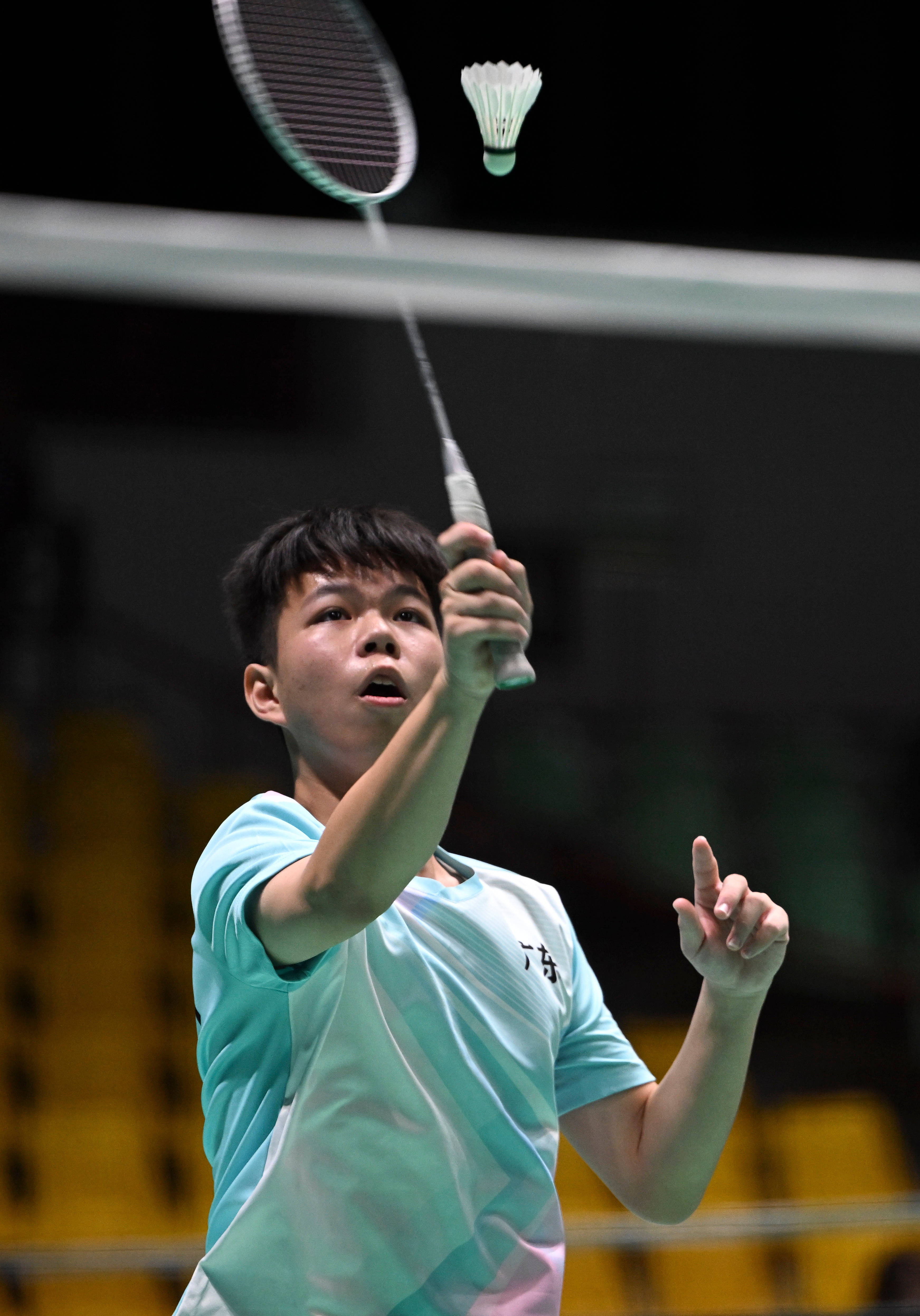 羽毛球选手羽毛球选手排名