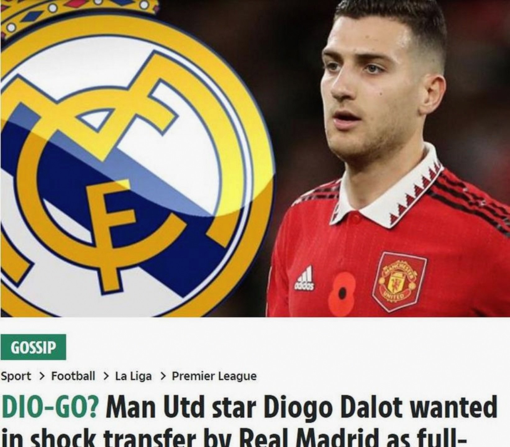 达洛特达洛特什么水平